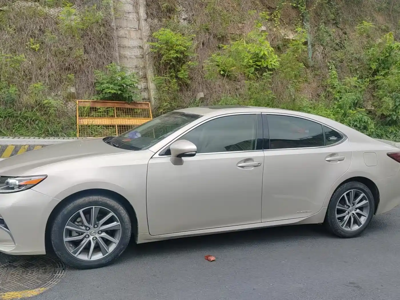 Lexus ES 2015 300h Comfort Edition фото 2