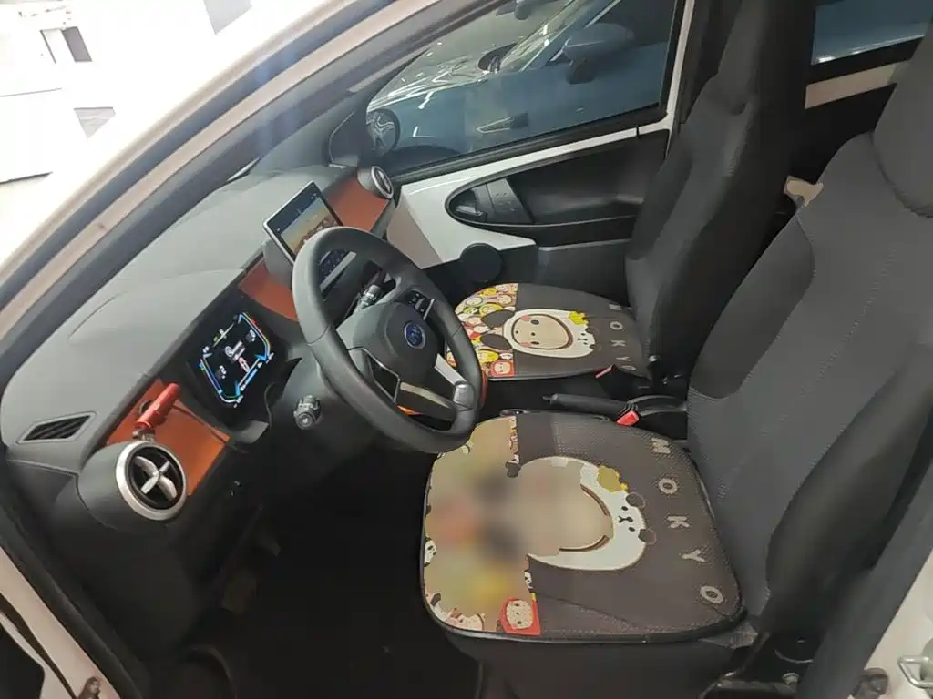 BYD e1 2020 2019 Radiance Edition
