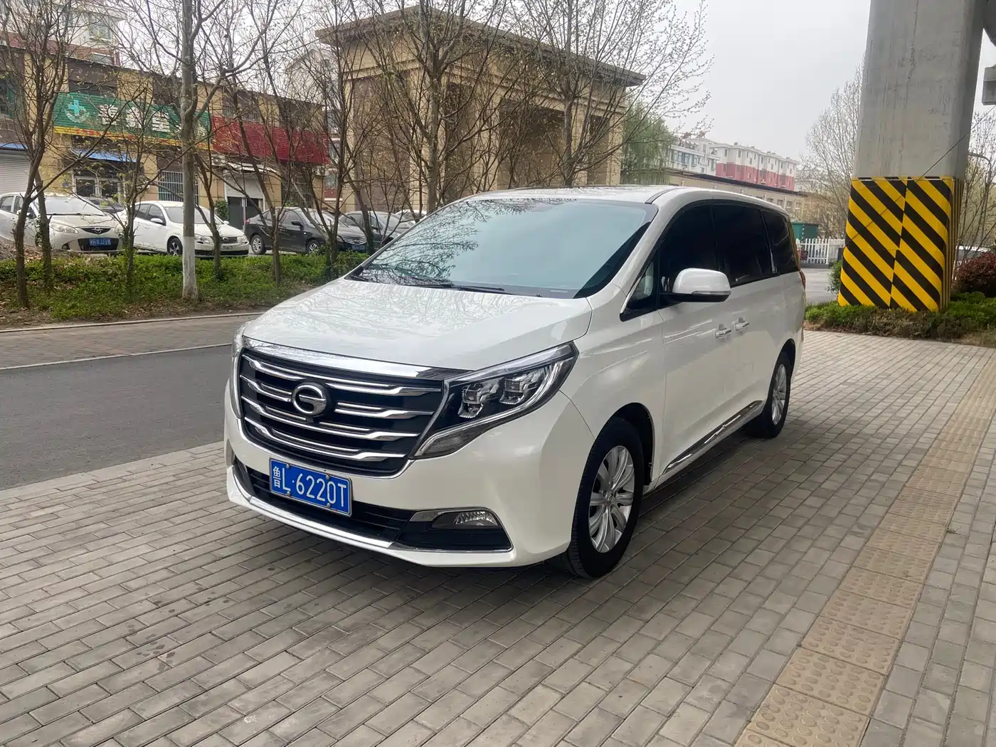 GAC Trumpchi Trumpchi M8 2018 320T Luxury Edition