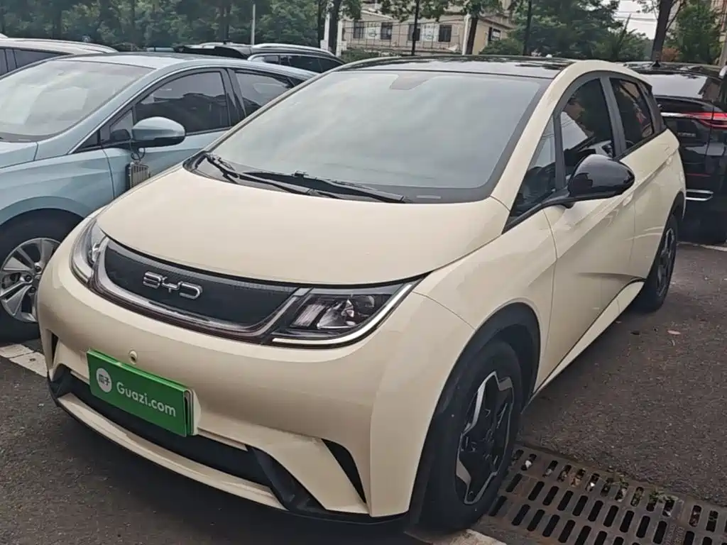 BYD Dolphin 2021 Model 405km Fashion Edition