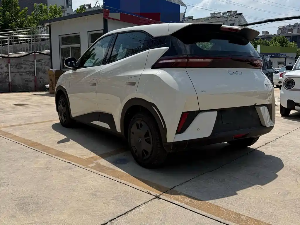BYD Seagull 2026 2025 Smart Drive Edition 305km Vitality Version