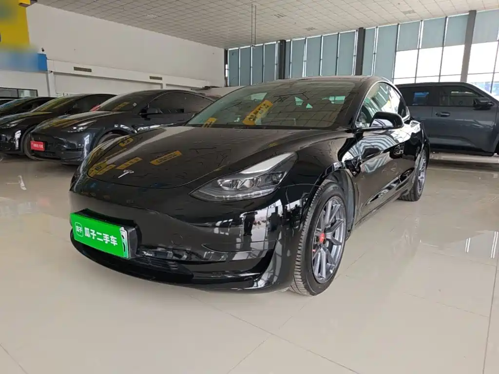 Tesla Model 3 2022 Model Rear-Wheel Drive Version