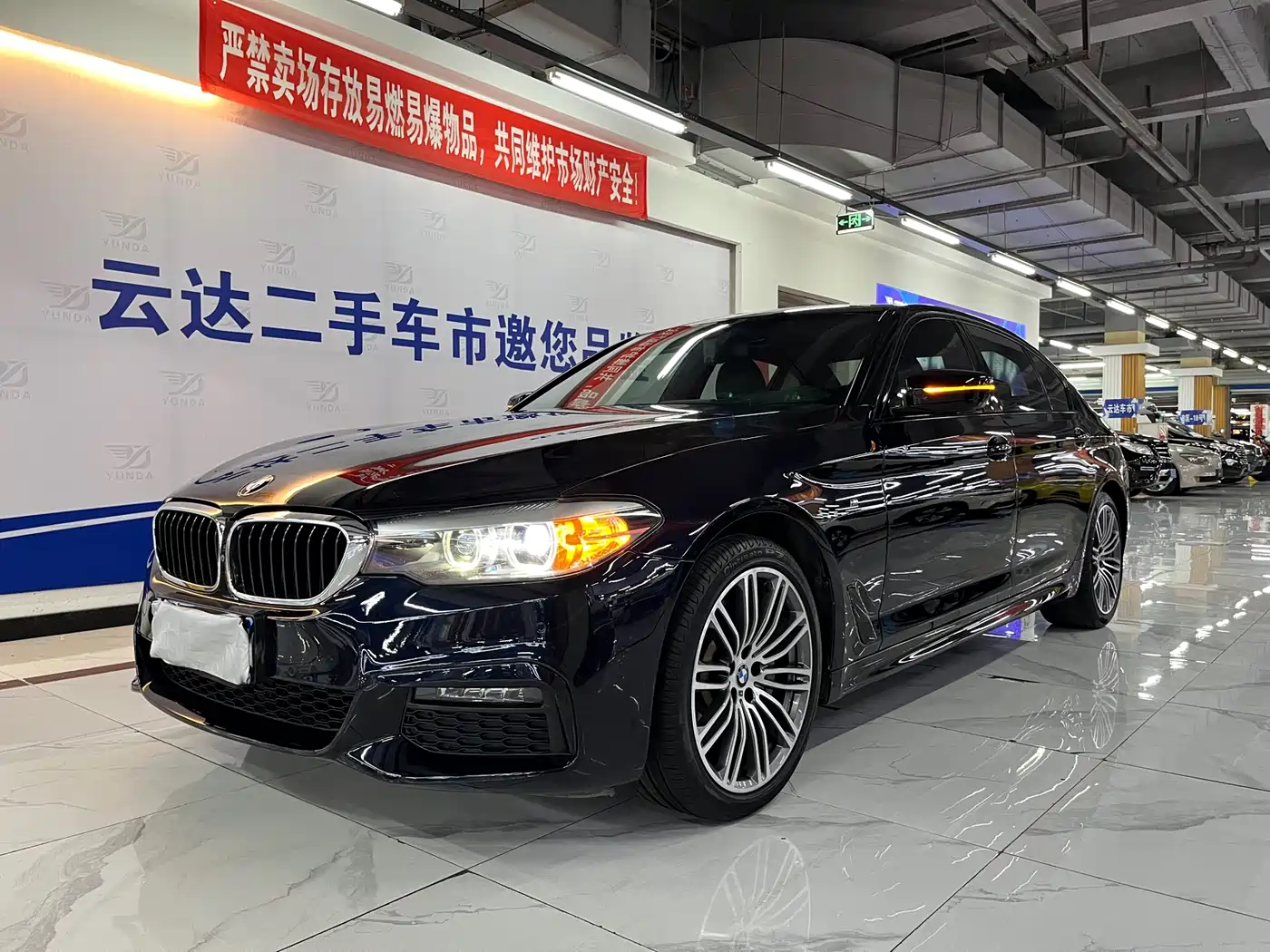 BMW 5 Series 2019 530Li xDrive Luxury Package фото 2