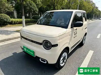 Geely Panda