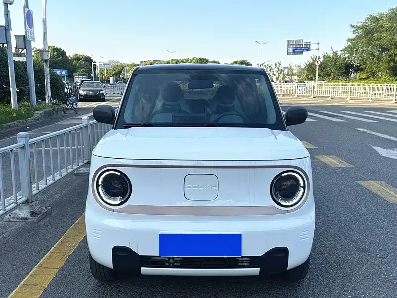Geely Galaxy Panda 2023 Panda Mini 200km Endurance Bear фото 2