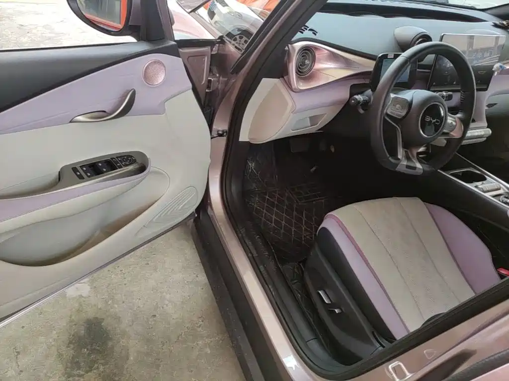 Photo 16 - BYD Dolphin