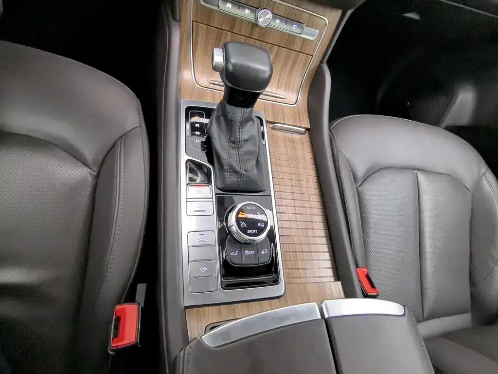 Фото 13 - Roewe RX8