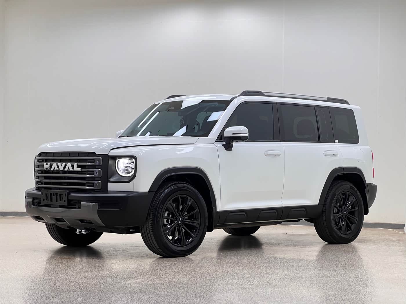 Haval Meng Long NEV