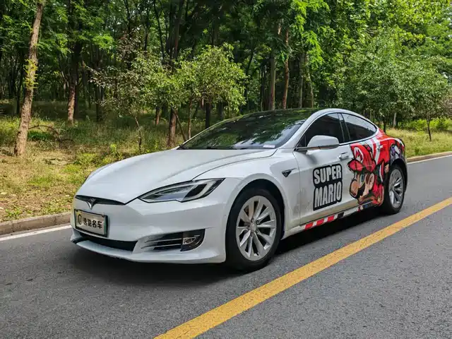 TESLA MODEL S 2019