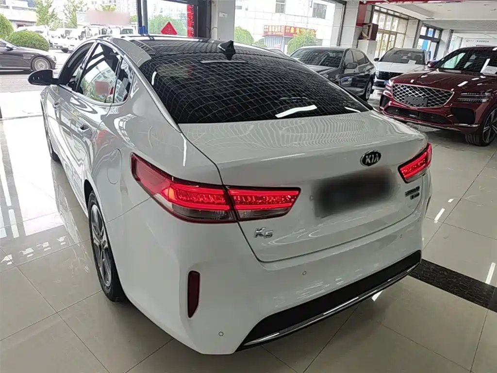 Kia K5 New Energy 2019 2.0L LUX фото 5