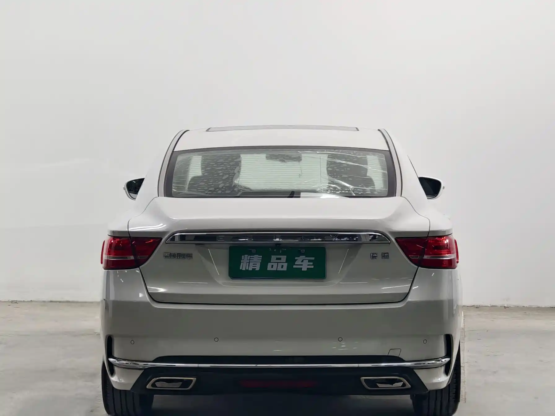 Фото 5 - Geely Borui
