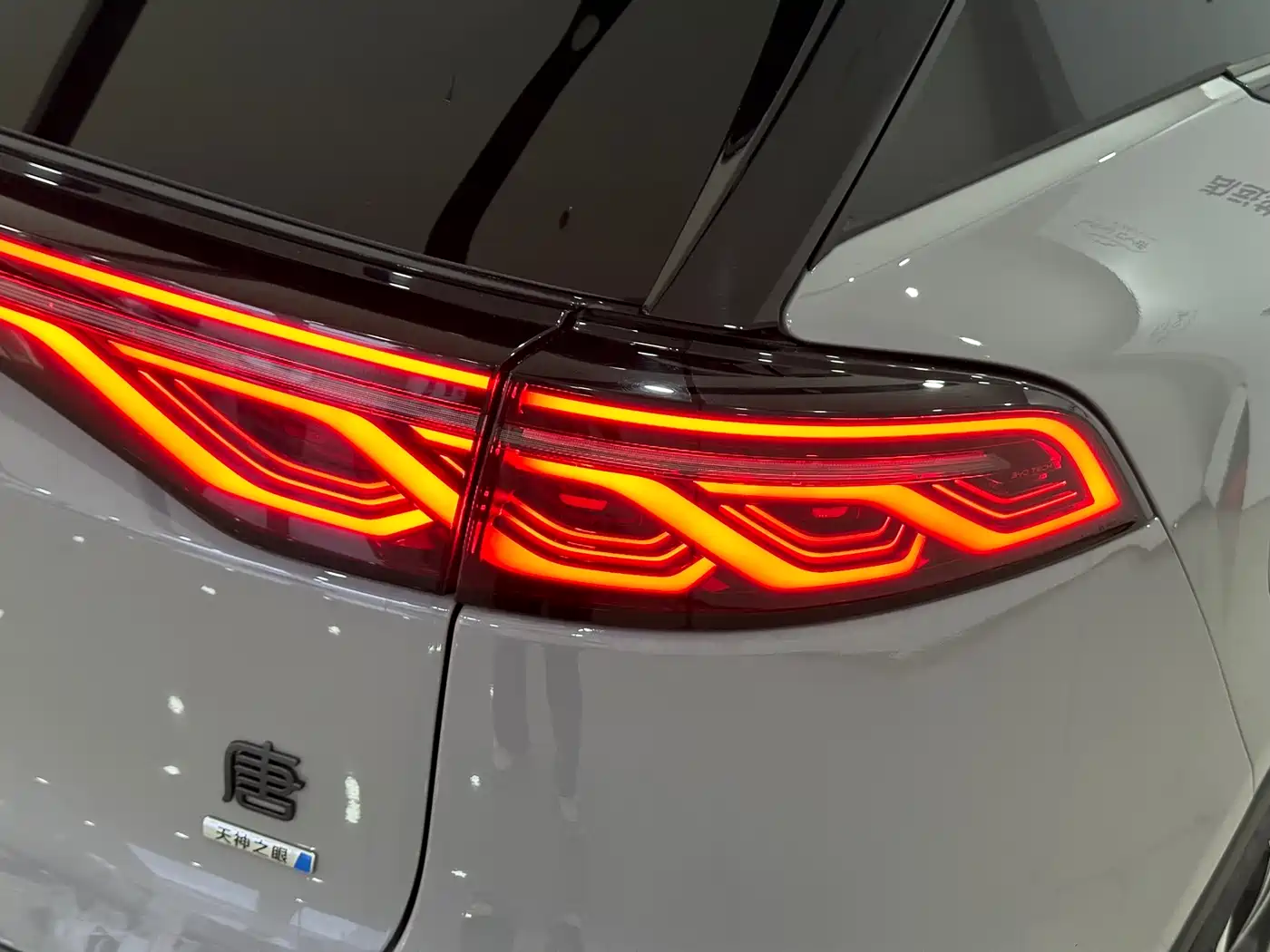 BYD Tang New Energy 2025 Smart Driving Edition DM-i 115KM Flagship фото 6
