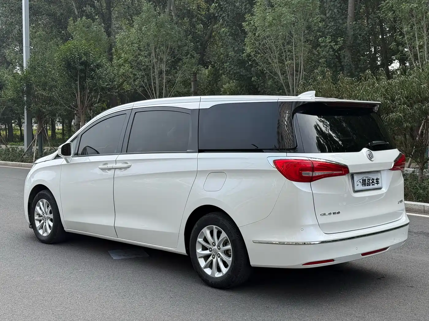 Buick GL8 2017 ES 28T Premium China V фото 9