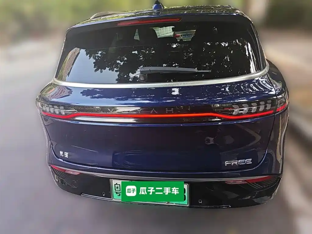 Voyah Auto VOYAH FREE 2021 AWD Standard Range Extender Exclusive Luxury Package фото 28