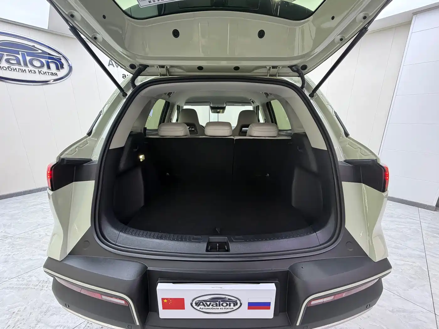 BYD Yuan UP 2025 2025 Smart Drive Edition 401KM Vitality Version