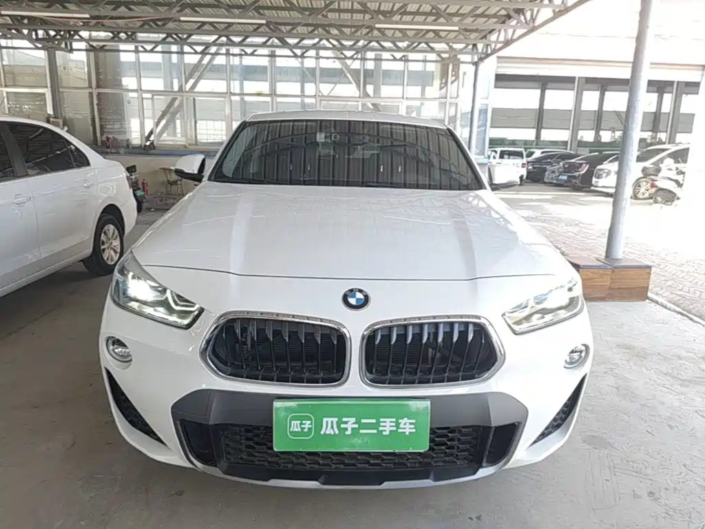 BMW X2 (Import) 2019 2019 sDrive20i M Off-Road Package China VI