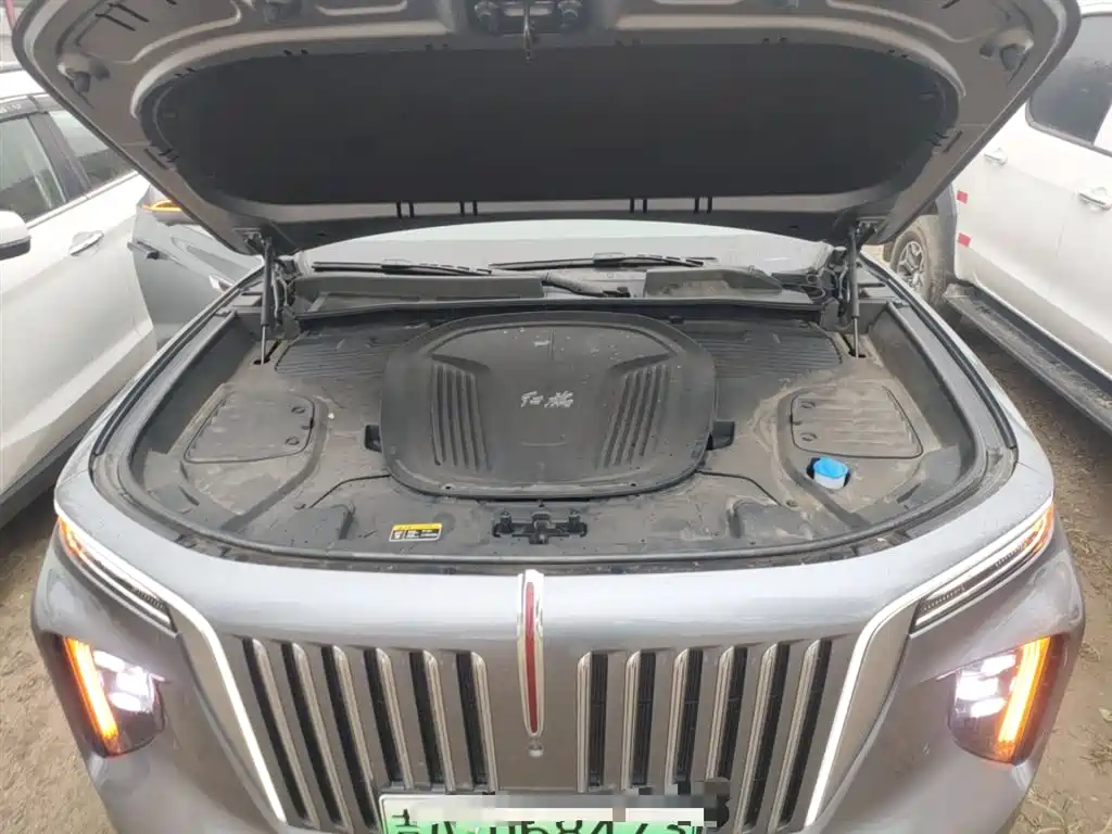 Hongqi E-HS9 2022 690km Qi Xiang Edition (6-seater) фото 10