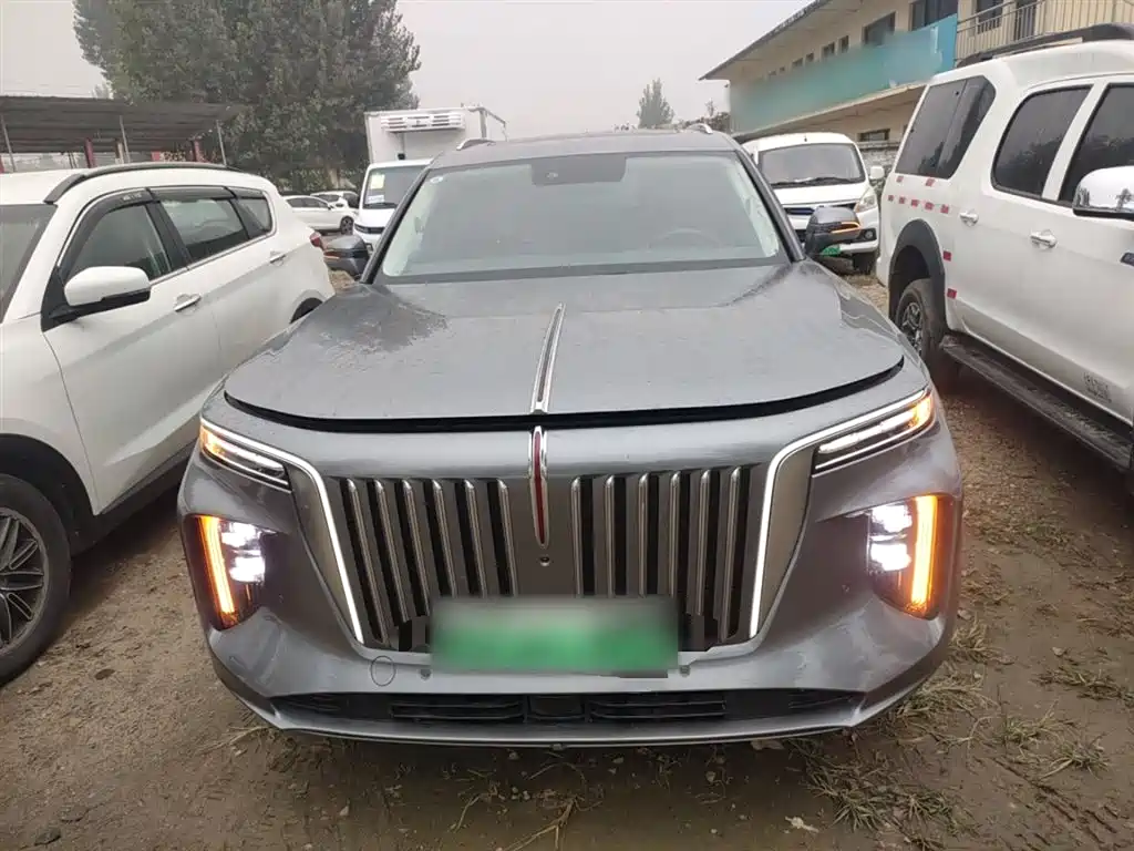 Hongqi E-HS9 2022 690km Qi Xiang Edition (6-seater) фото 19