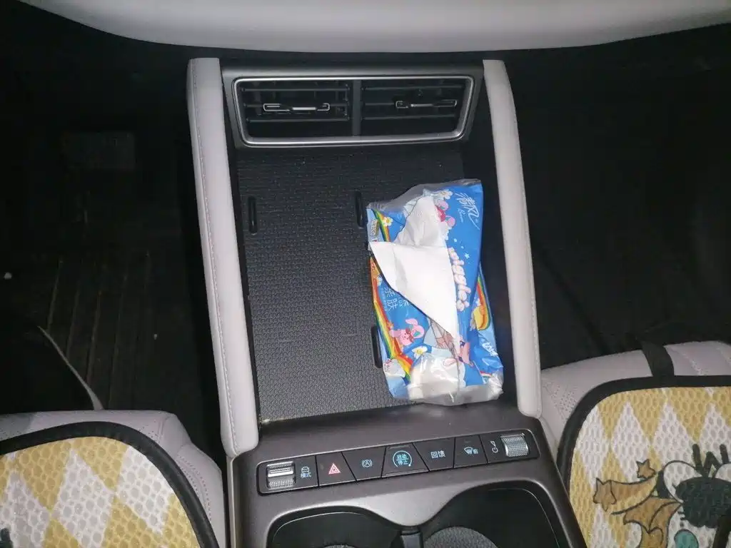 BYD Yuan UP 2026 2025 Model 301KM Navigator