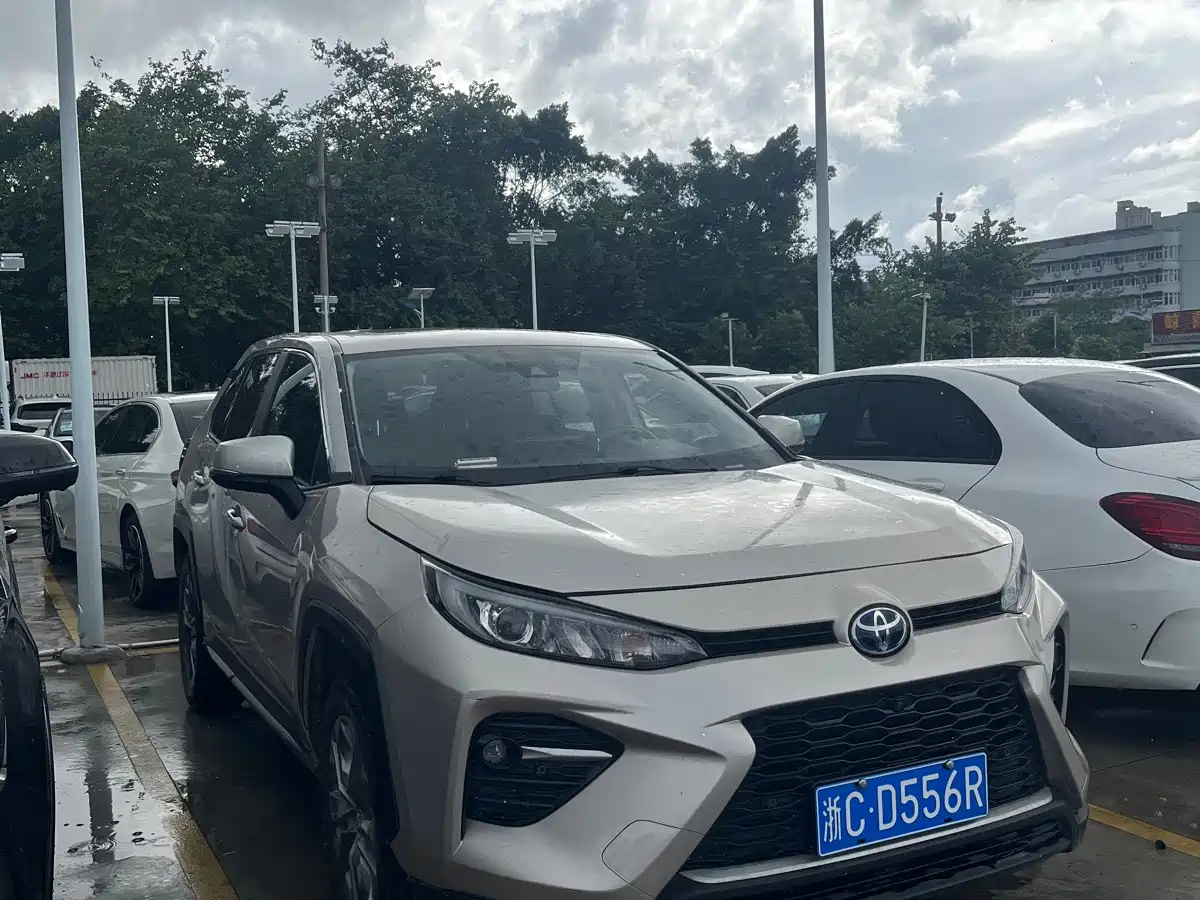 Фото 3 - Toyota Wildlander