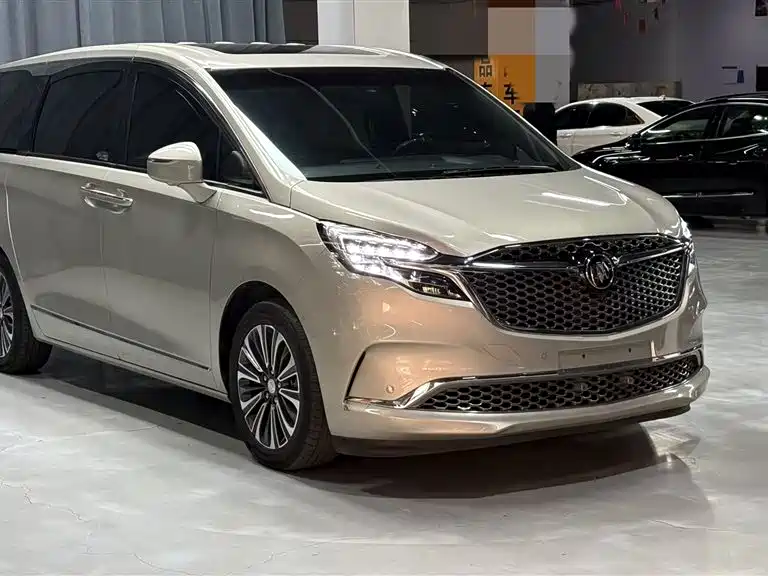Buick GL8 2022 ES Landmark 653T Flagship фото 17