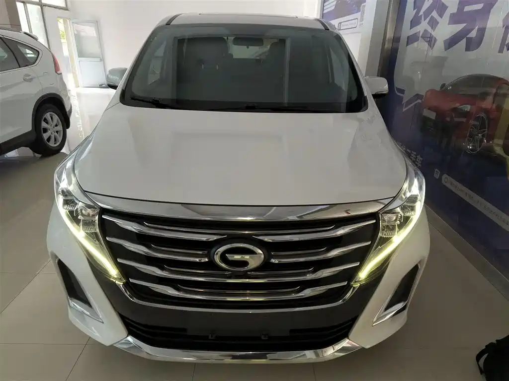 GAC Trumpchi Trumpchi M8 2020 Pilot 390T Premium Edition фото 3