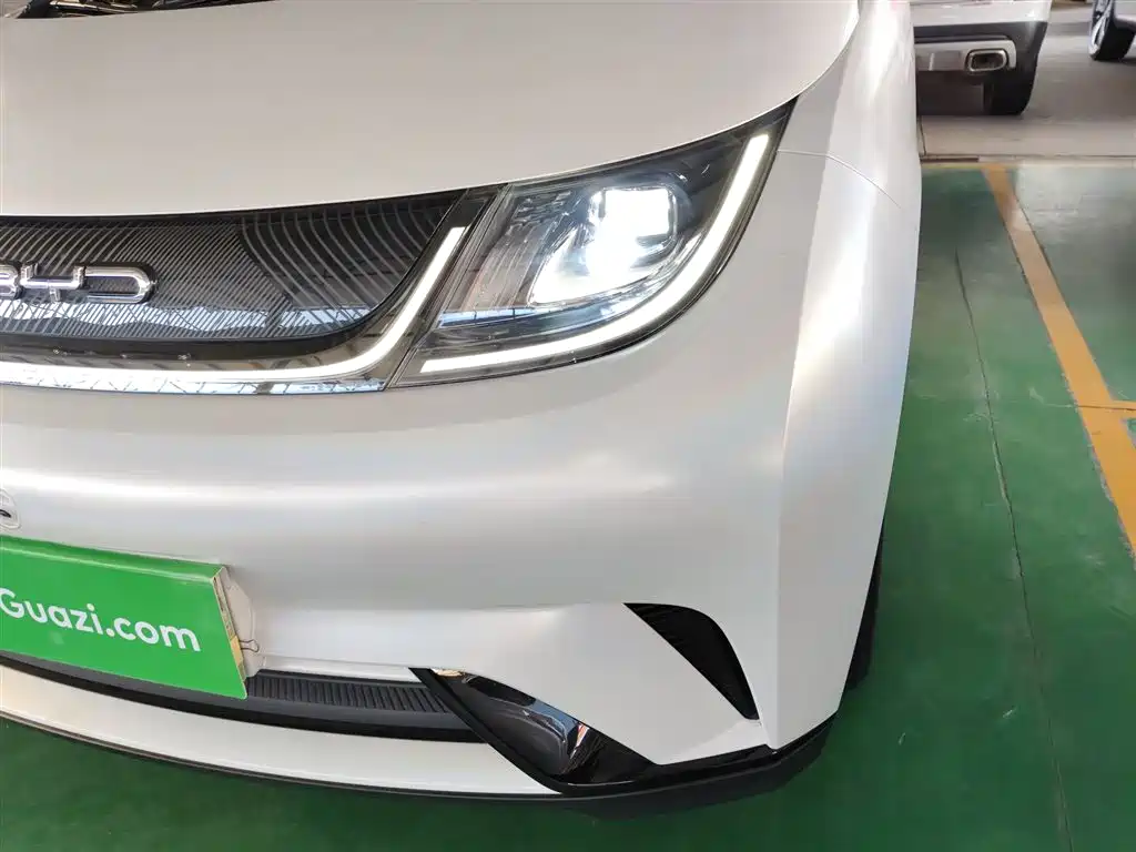 BYD Dolphin 2023 420km Fashion Edition фото 24