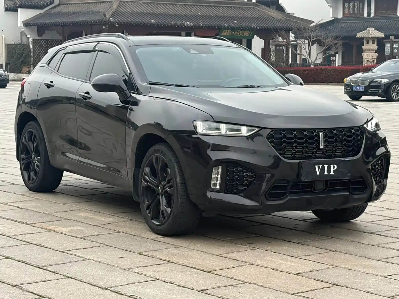 WEI PAI WEI BRAND VV7