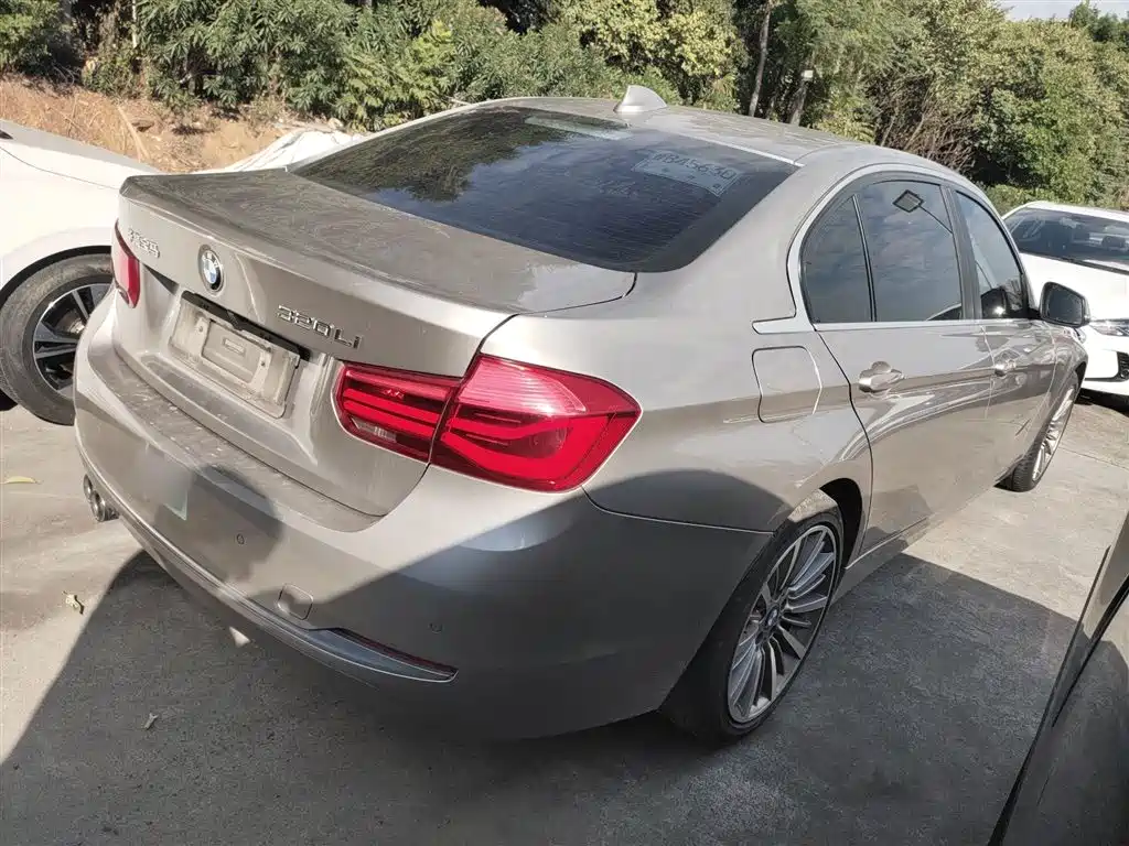 BMW 3 Series 2019 320Li Fashion Type фото 7