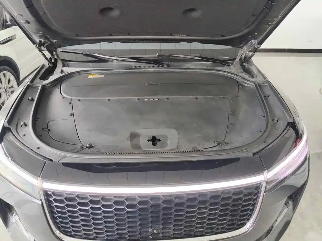 Фото 9 - Li Auto Li ONE