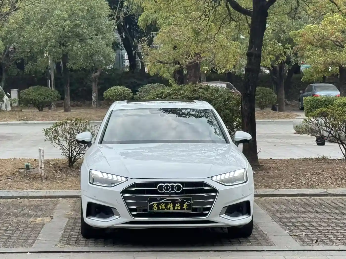 Audi A4L 2020 40 TFSI Luxury Elegance фото 2