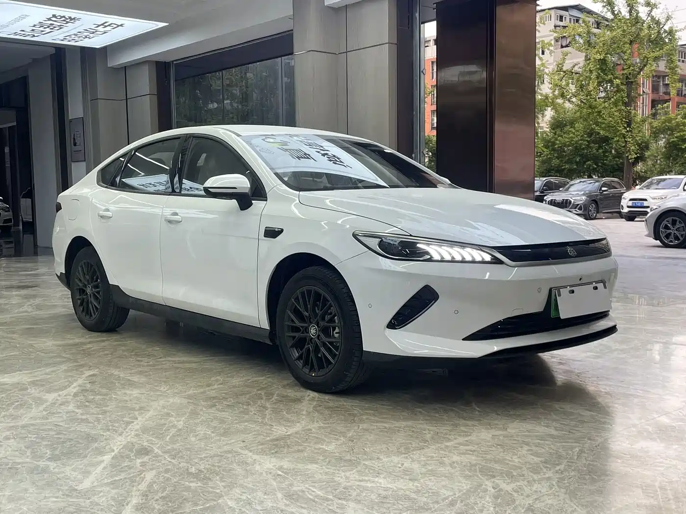 Фото 2 - BYD Qin PLUS