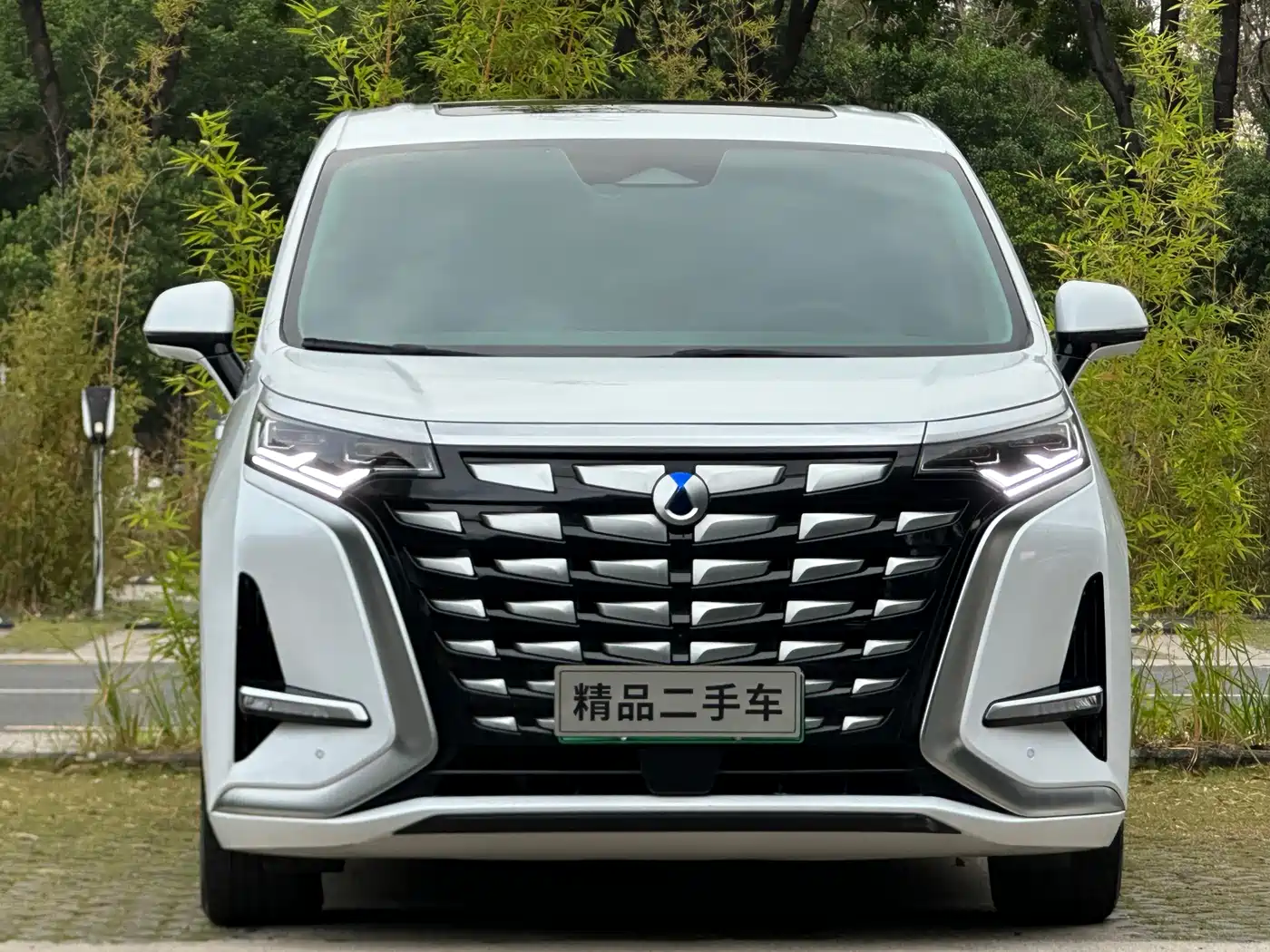 Denza D9 2022 DM-i 970 All-Wheel Drive Honor Edition фото 2
