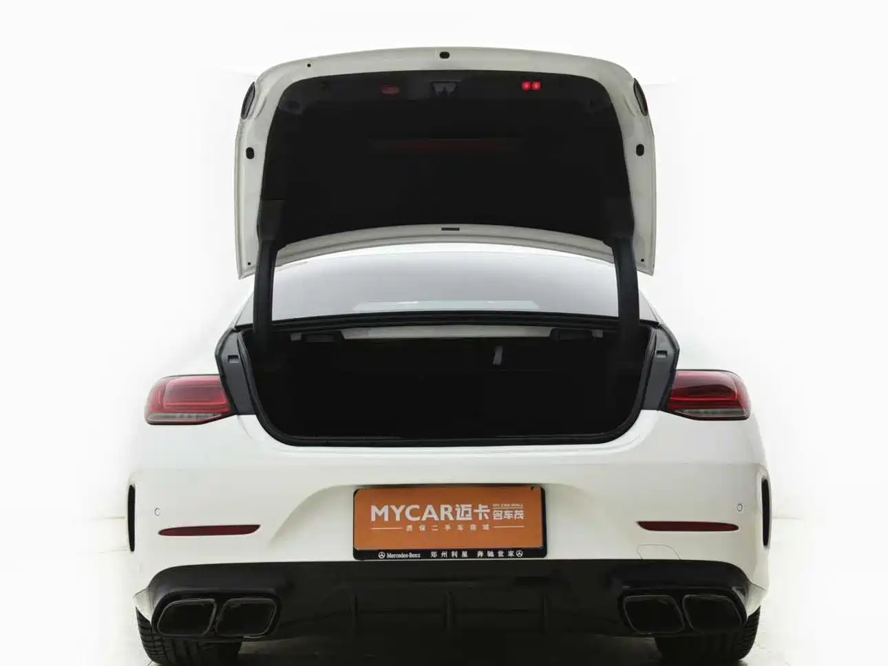 Mercedes-Benz CLS 2022 CLS 300 Luxury фото 13