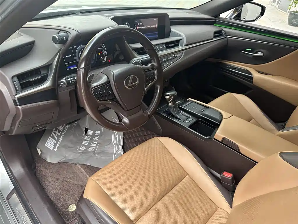 Lexus ES 2020 Model 300h Excellence Edition фото 14