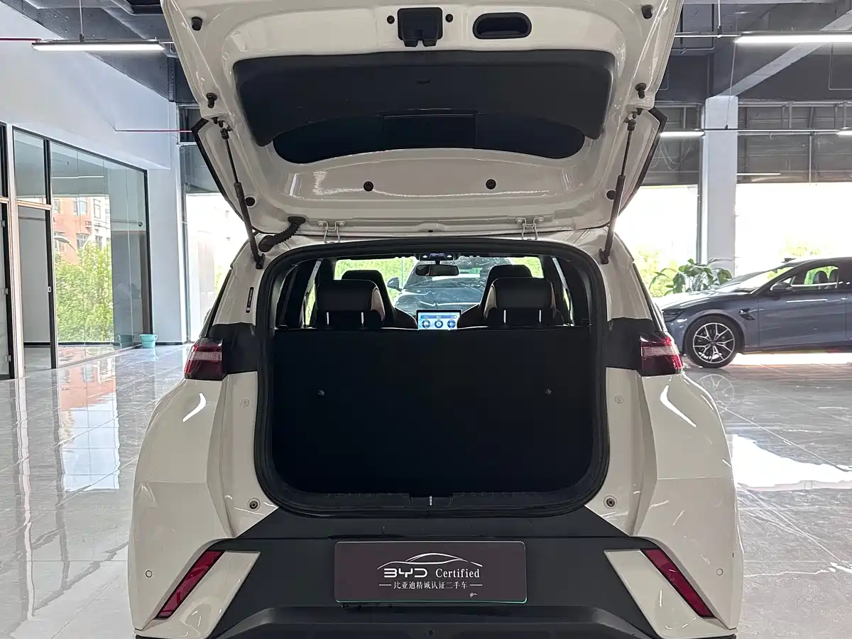 BYD Seagull 2023 Vitality Edition фото 11