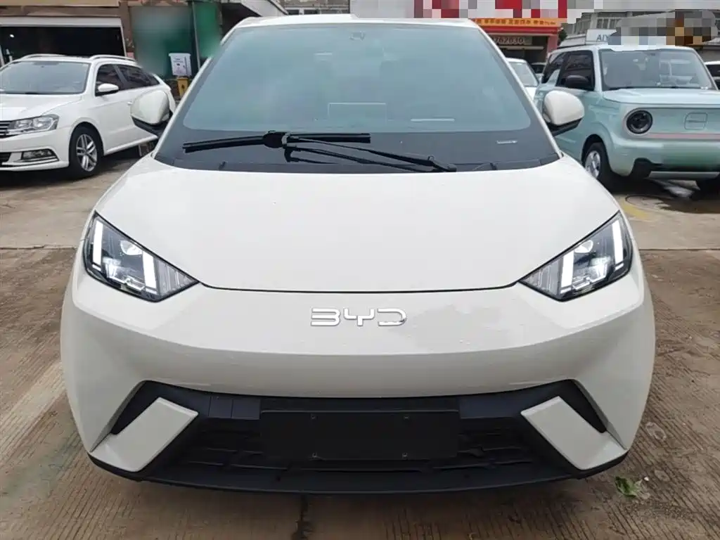 BYD Seagull 2024 Glory Edition 305km Freedom Edition фото 3