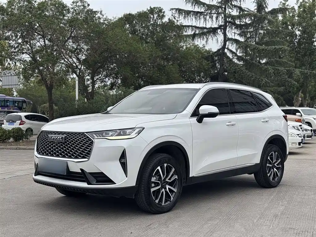 Haval H6 2021 3rd Gen 1.5T Auto 2WD Pro фото 3