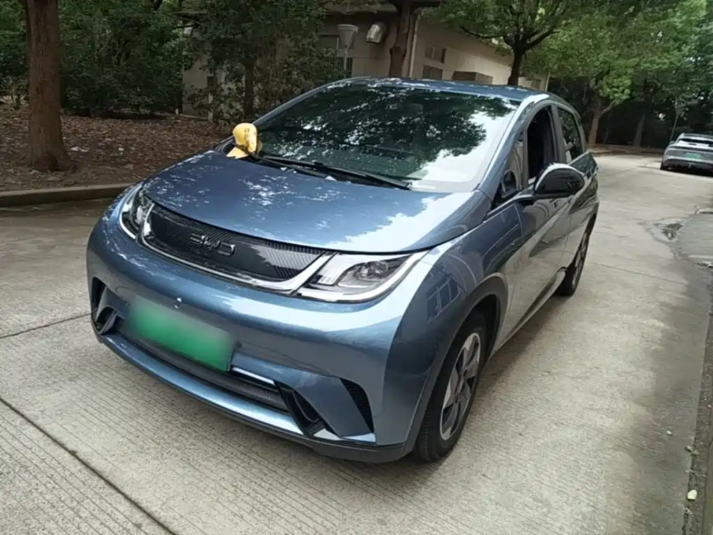 BYD Dolphin 2026 2025 420km Freedom Edition