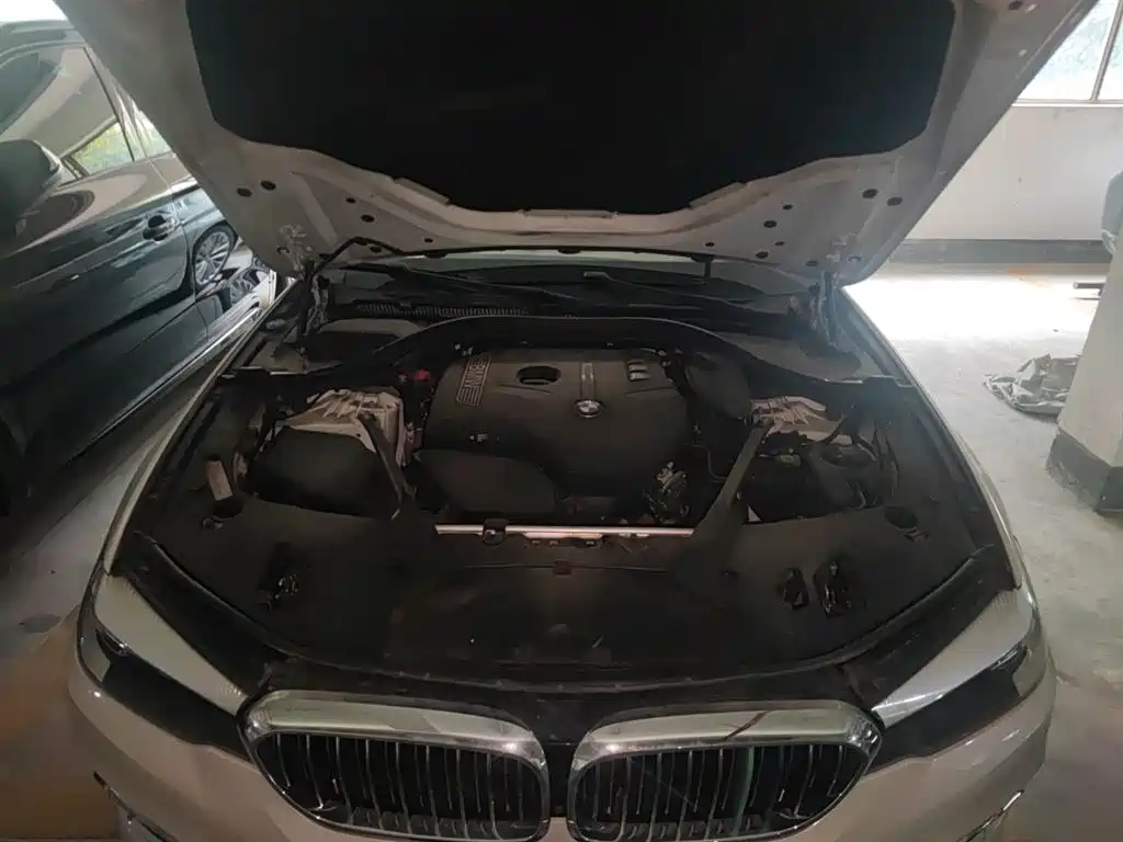 BMW 5 Series 2018 525Li Luxury Package фото 17