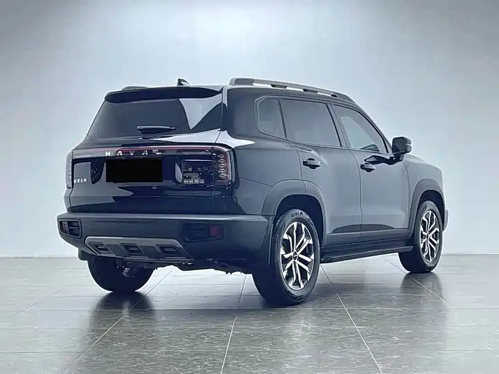 Haval Big Dog 2024 Model 1.5T DCT Labrador Edition фото 7