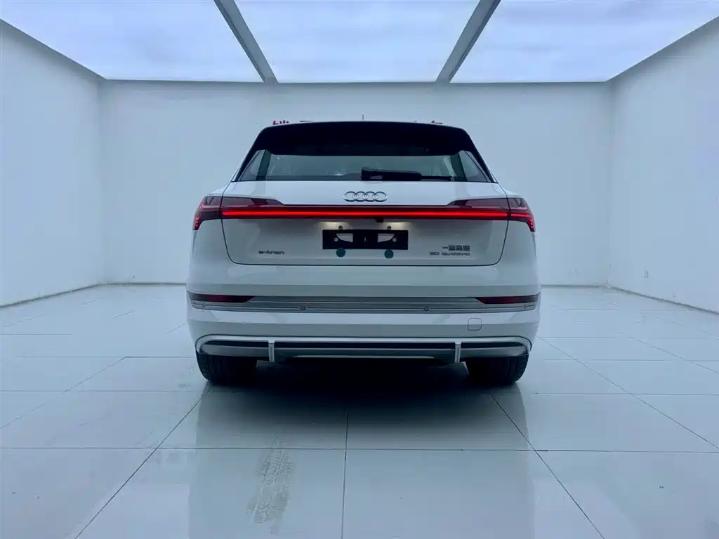 Audi e-tron 2021 50 quattro Luxury фото 4