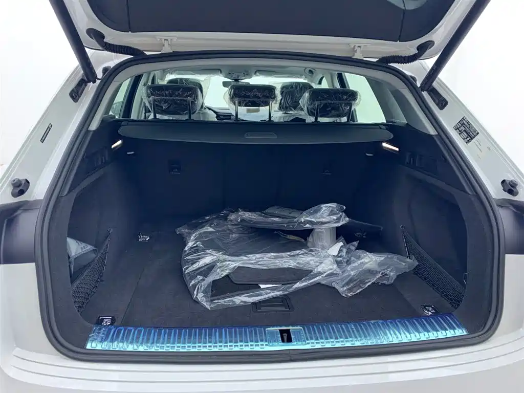 Audi e-tron 2021 50 quattro Luxury фото 10