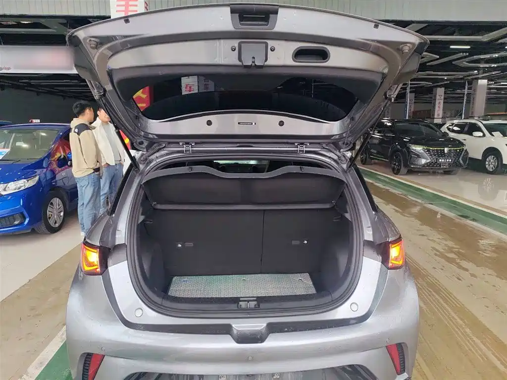 BYD Dolphin 2023 420km Fashion Edition фото 19