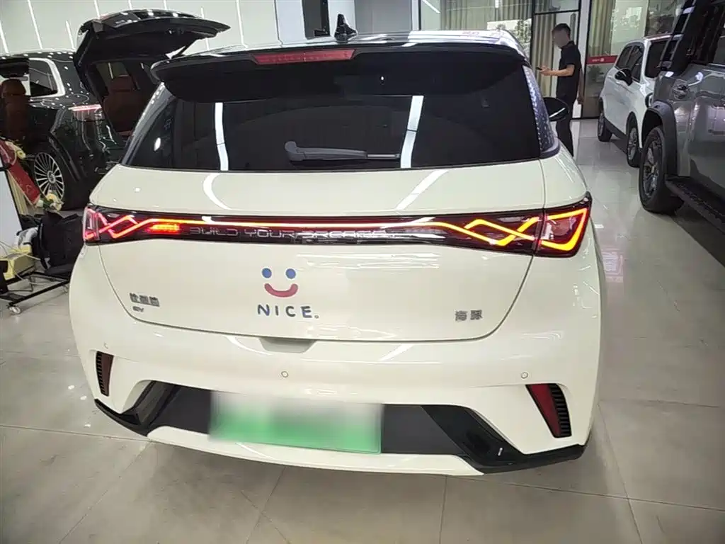BYD Dolphin 2024 Glory Edition 420km Fashion Edition фото 6