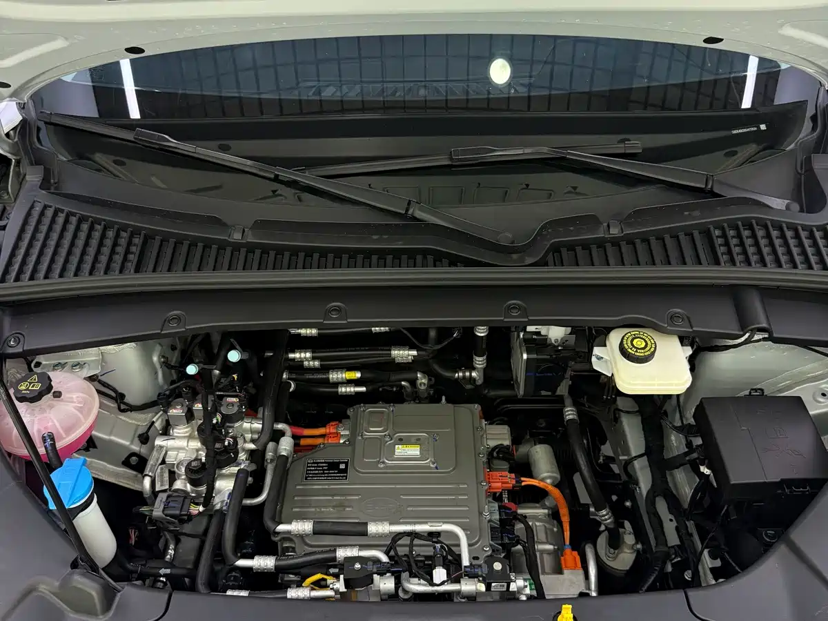 BYD Yuan UP 2025 2025 Smart Drive Edition 401KM Vitality Version