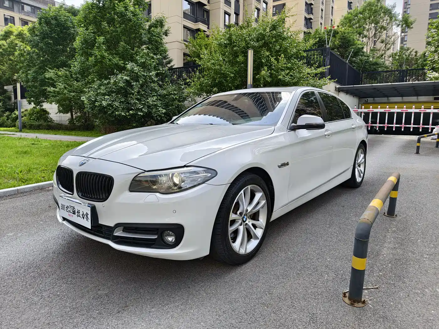 BMW 5 Series 2014 530Li Leading