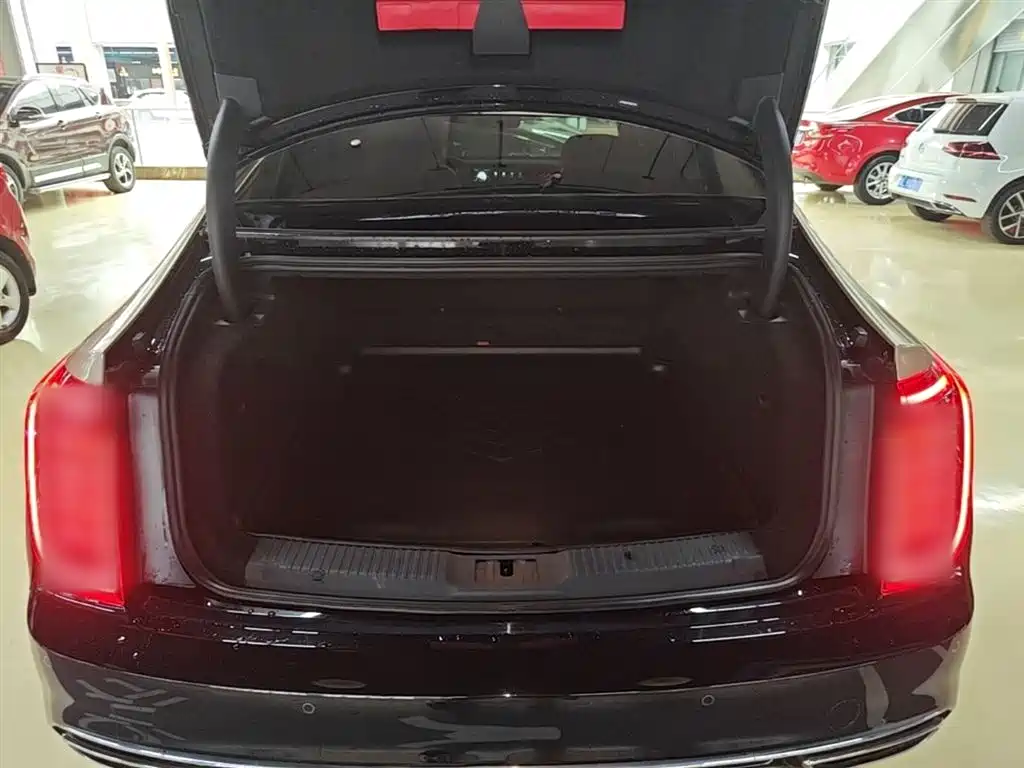 Hongqi H9 2020 2.0T Smart Connection Qi Xiang Edition фото 19