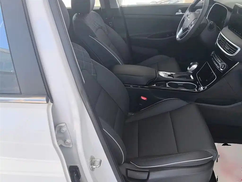Hyundai Tucson 2020 280TGDi 2WD GLS Fashion (China VI) фото 21