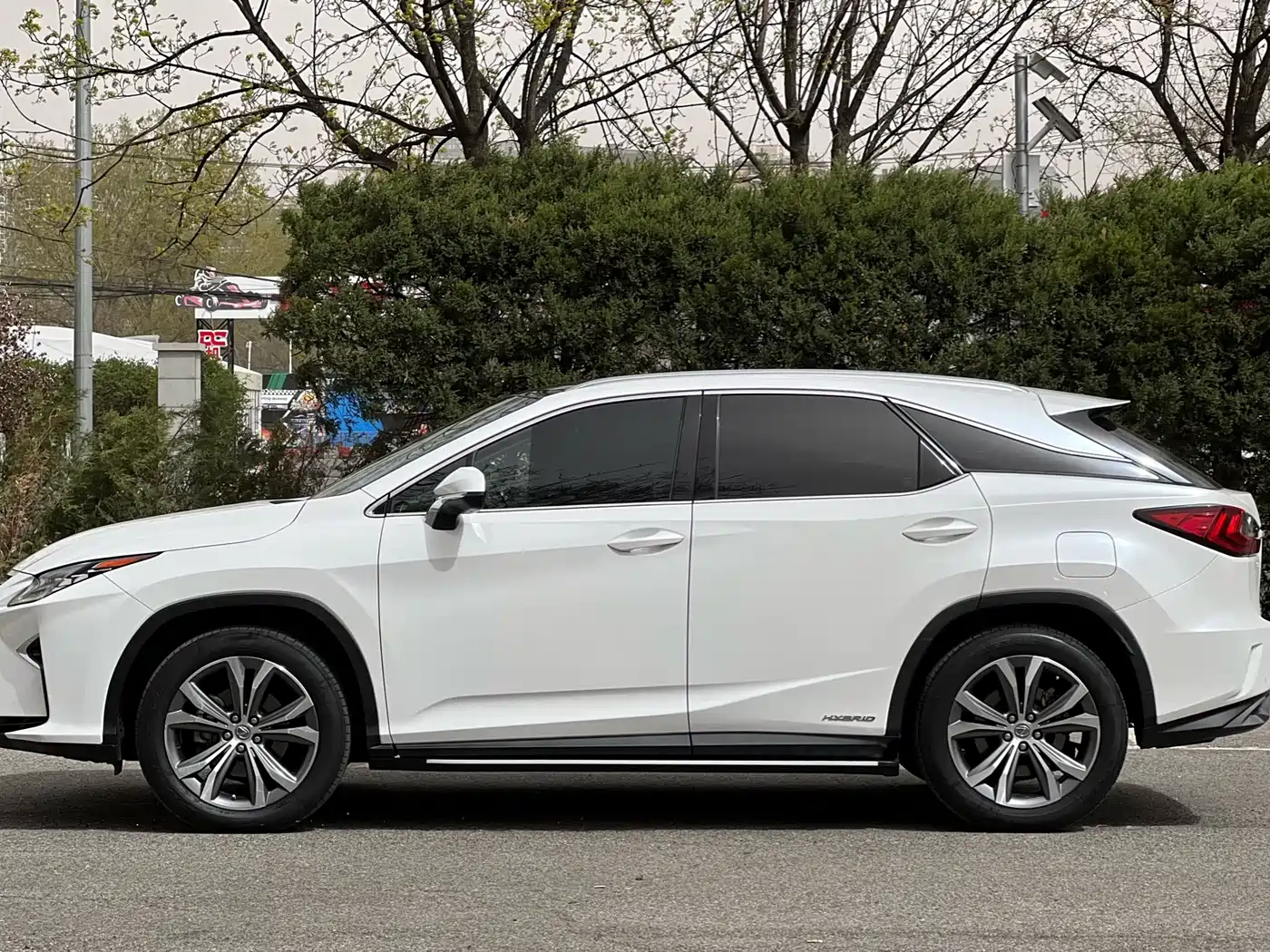 LEXUS RX